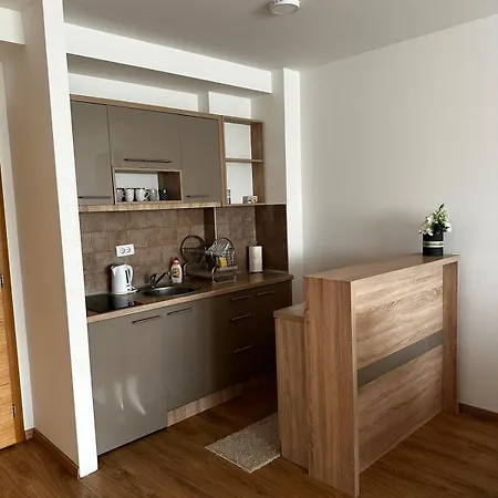 Gondola Vip 15 Apartment *
